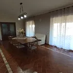 Degli Oleandri 阿格里真托
